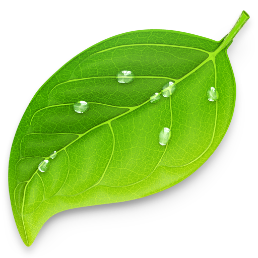 icon_512x512