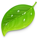 Coda 2.5